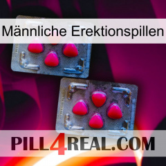 Männliche Erektionspillen 14